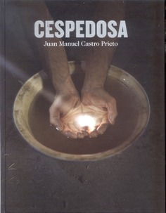 Cespedosa. Juan Manuel Castro Prieto. Catálogo